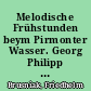 Melodische Frühstunden beym Pirmonter Wasser. Georg Philipp Telemann als Brunnengast in Pyrmont