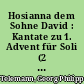 Hosianna dem Sohne David : Kantate zu 1. Advent für Soli (2 Stimmen), Chor (2-3 Stimmen) und Orchester