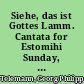 Siehe, das ist Gottes Lamm. Cantata for Estomihi Sunday, SATB, [2 oboes], strings & continuo