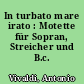 In turbato mare irato : Motette für Sopran, Streicher und B.c.
