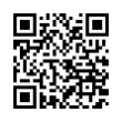 QR Code (код быстрого отклика)