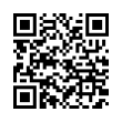 QR Code (код быстрого отклика)