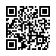 QR Code (код быстрого отклика)