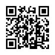 QR Code (код быстрого отклика)