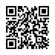 QR Code (код быстрого отклика)