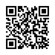 QR Code (код быстрого отклика)