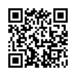 QR Code (код быстрого отклика)