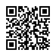 QR Code (код быстрого отклика)