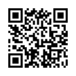 QR Code (код быстрого отклика)