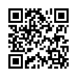 QR Code (код быстрого отклика)