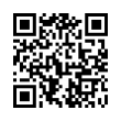 QR Code (код быстрого отклика)