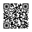 QR Code (код быстрого отклика)