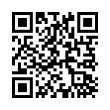 QR Code (код быстрого отклика)