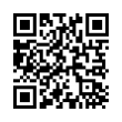 QR Code (код быстрого отклика)