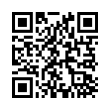 QR Code (код быстрого отклика)