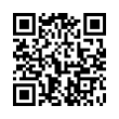 QR Code (код быстрого отклика)