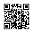 QR Code (код быстрого отклика)