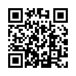 QR Code (код быстрого отклика)