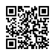 QR Code (код быстрого отклика)