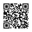 QR Code (код быстрого отклика)