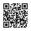 QR Code (код быстрого отклика)