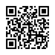 QR Code (код быстрого отклика)