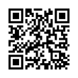 QR Code (код быстрого отклика)