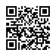 QR Code (код быстрого отклика)