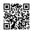 QR Code (код быстрого отклика)