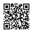 QR Code (код быстрого отклика)