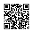 QR Code (код быстрого отклика)