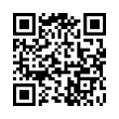 QR Code (код быстрого отклика)