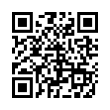 QR Code (код быстрого отклика)