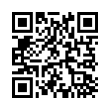 QR Code (код быстрого отклика)