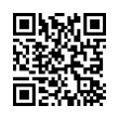 QR Code (код быстрого отклика)