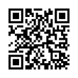 QR Code (код быстрого отклика)