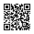 QR Code (код быстрого отклика)