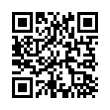 QR Code (код быстрого отклика)