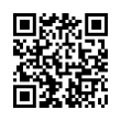 QR Code (код быстрого отклика)