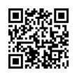 QR Code (код быстрого отклика)