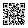 QR Code (код быстрого отклика)