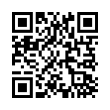 QR Code (код быстрого отклика)