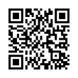 QR Code (код быстрого отклика)