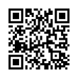 QR Code (код быстрого отклика)