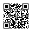 QR Code (код быстрого отклика)