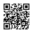 QR Code (код быстрого отклика)