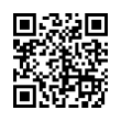 QR Code (код быстрого отклика)