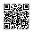 QR Code (код быстрого отклика)