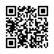 QR Code (код быстрого отклика)