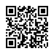 QR Code (код быстрого отклика)